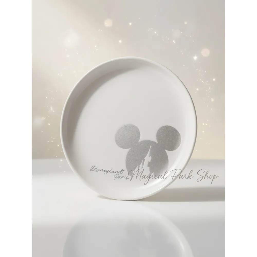 Kleiner Sammler-Teller Mickey Haven Disneyland Paris