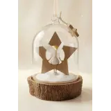 Disney Ornament Dome Fee Clochette Trend Disneyland Paris