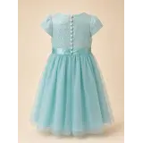 Girls' Elsa Dress Frozen blue princess Disneyland Paris