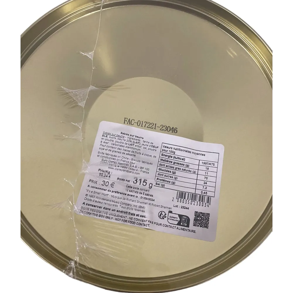 Disney Boite Décorative Musicale Small World  Disneyland Paris