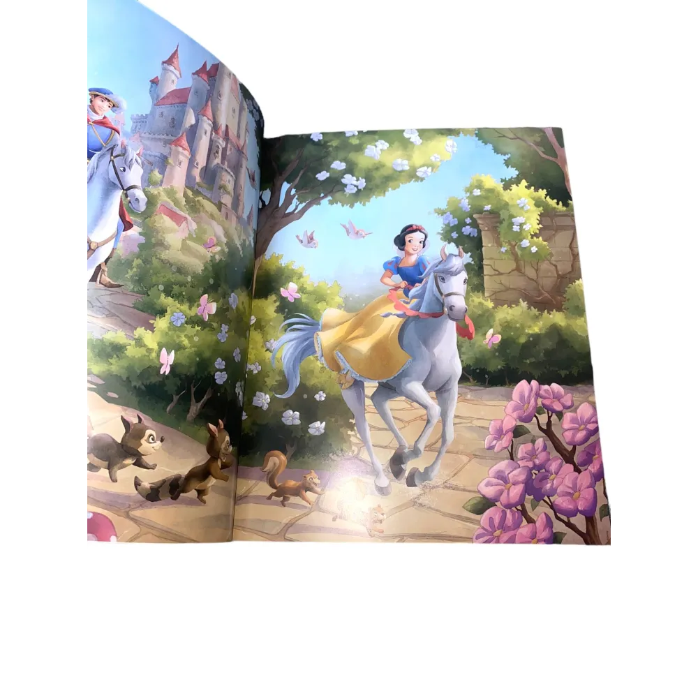 Disney Livre de Posters Disneyland Hotel