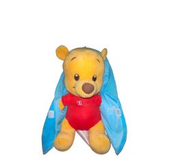 Disney Peluche BB Capuche Winnie Disneyland Paris