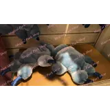 Gants imitation pattes Stitch Disney – Accessoire Lilo & Stitch