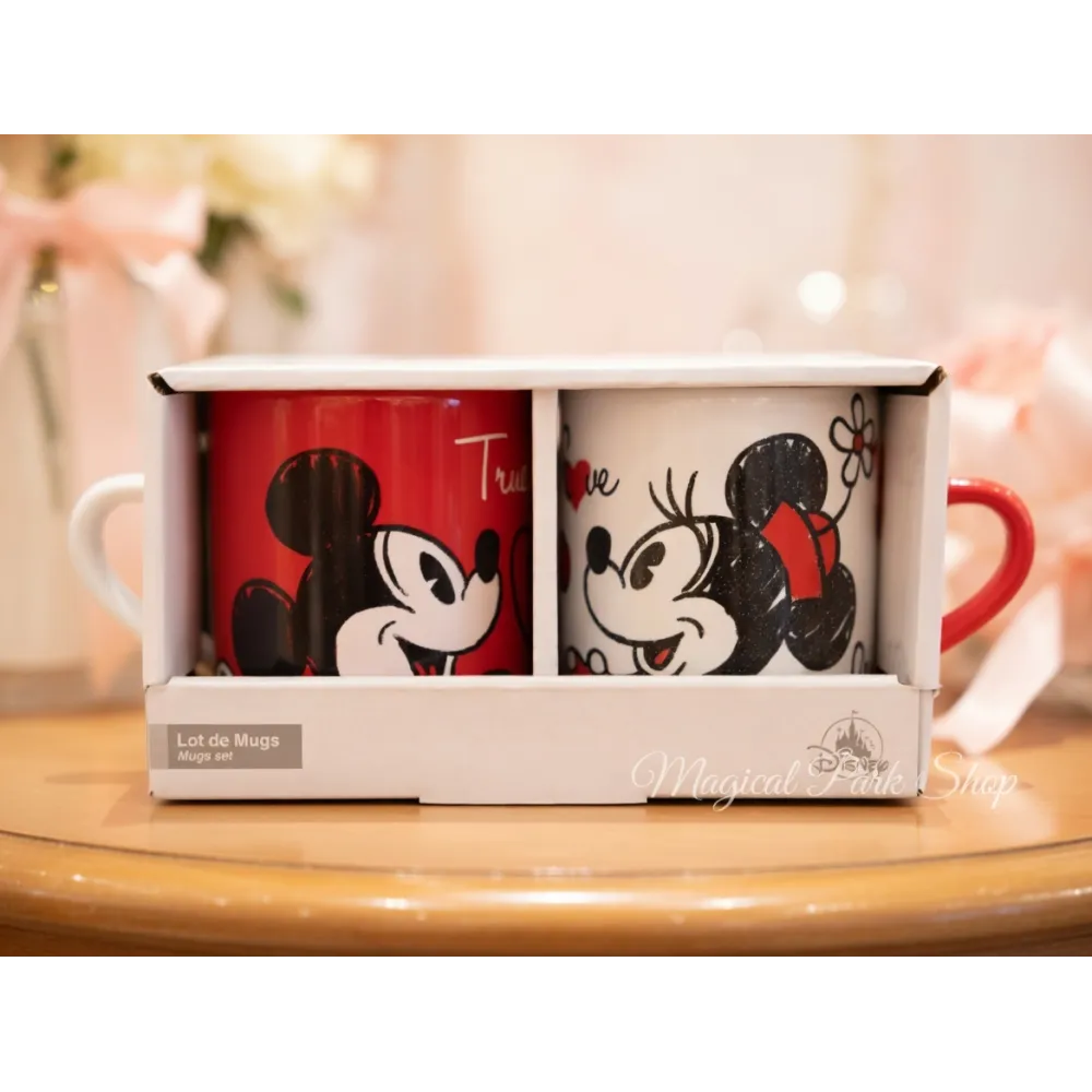 2-teiliges Becher-Set Elsa Anna – World of Frozen Disneyland Paris