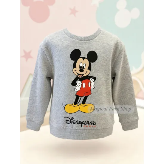 Kids Disney Mickey or Minnie Sweatshirt – Disneyland Paris
