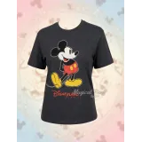 Illustration générée par intelligence artificielle, couleurs susceptibles de varier.